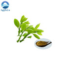 Natural 98% Tea Polifenol Green Tea Extract Powder